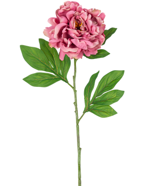 La fleur artificielle pivoine rose 77 cm a une seule pivoine rose avec des pétales superposés et des feuilles vertes sur une tige longue et mince sur un fond blanc.