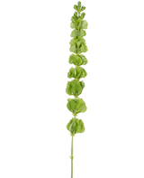 Les cloches de fleurs artificielles d'Irlande de 98 cm ont une seule tige verte dressée avec plusieurs feuilles ou bractées vertes rondes réparties uniformément sur toute sa longueur, sur un fond blanc uni.