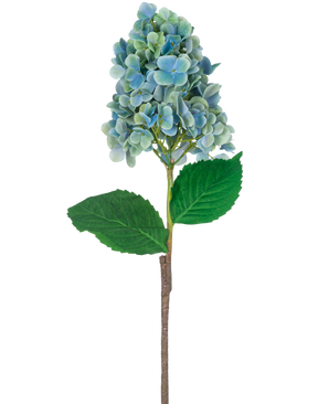 Une seule tige d'hortensia artificiel de 93 cm bleu avec des fleurs d'hortensia bleues et vertes avec des feuilles vertes luxuriantes, isolées sur un fond blanc.