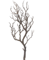 La branche Art déco 89 cm présente un arbre sans feuilles avec de nombreuses branches fines et sinueuses sur un fond uni blanc.