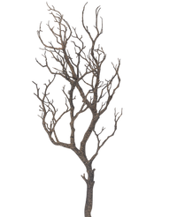 Branche de décoration artificielle 89 cm