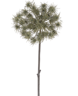 La fleur artificielle de berce du Caucase de 100 cm est une tige artificielle unique avec des grappes de capitules vaporeux de couleur gris vert, debout sur un fond blanc uni.