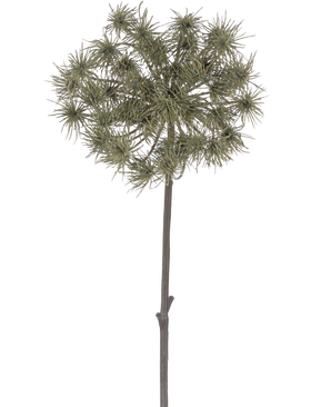 La fleur artificielle de berce du Caucase de 100 cm est une tige artificielle unique avec des grappes de capitules vaporeux de couleur gris vert, debout sur un fond blanc uni.