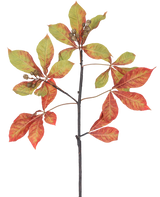 Een Kunsttak Kastanje 91 cm rood/groen tak met trossen rode en groene bladeren, sommige met bruine randen, samen met kleine bruine zaaddozen tegen een witte achtergrond.