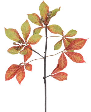 Een Kunsttak Kastanje 91 cm rood/groen tak met trossen rode en groene bladeren, sommige met bruine randen, samen met kleine bruine zaaddozen tegen een witte achtergrond.