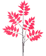 La Fougère artificielle ramifiée de 83 cm rouge possède un certain nombre de tiges fines avec des grappes de feuilles rouge vif, toutes disposées symétriquement sur un fond blanc.