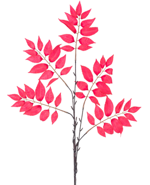 La Fougère artificielle ramifiée de 83 cm rouge possède un certain nombre de tiges fines avec des grappes de feuilles rouge vif, toutes disposées symétriquement sur un fond blanc.