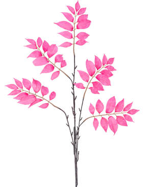 La Fougère Branche Artificielle ramifiée 83 cm rose possède une seule tige brun foncé qui se ramifie en plusieurs tiges plus petites, chacune décorée de grappes de feuilles rose vif sur fond blanc.