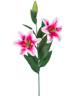 La fleur de lys artificielle rose 85 cm a deux lys roses et blancs en fleurs, un bouton fermé et un certain nombre de longues feuilles vertes, magnifiques sur un fond blanc.