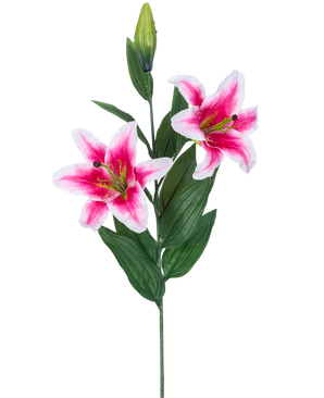 La fleur de lys artificielle rose 85 cm a deux lys roses et blancs en fleurs, un bouton fermé et un certain nombre de longues feuilles vertes, magnifiques sur un fond blanc.