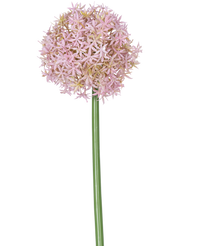 Fleur artificielle Allium Large violet 80 cm