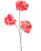 Une seule fine tige brune de la branche artificielle de fleur de cerisier de 85 cm de corail contient trois bouquets de fleurs de cerisier rose vif et corail avec des feuilles vertes, sur un fond blanc uni.