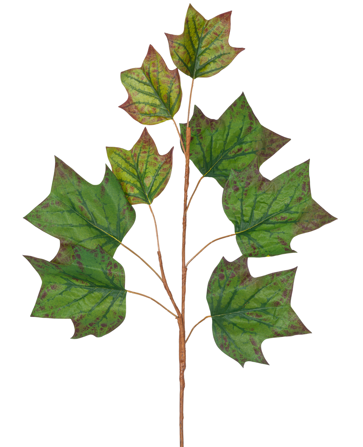 Une branche de branche artificielle de feuille de chêne de 84 cm verte avec plusieurs grandes feuilles vertes en forme de chêne avec des taches brun-rouge sur un fond blanc uni.