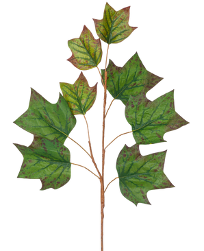 Une branche de branche artificielle de feuille de chêne de 84 cm verte avec plusieurs grandes feuilles vertes en forme de chêne avec des taches brun-rouge sur un fond blanc uni.