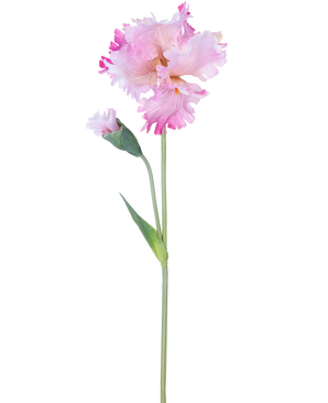 La Fleur Artificielle Iris 80 cm rose possède une seule tige d'iris rose avec des volants dans les pétales et un bouton fermé, sur un fond blanc uni.
