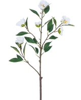 La Fleur Artificielle Camélia 80 cm blanche possède une seule branche avec plusieurs feuilles vertes et plusieurs fleurs blanches épanouies sur un fond blanc uni.