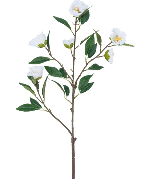 La Fleur Artificielle Camélia 80 cm blanche possède une seule branche avec plusieurs feuilles vertes et plusieurs fleurs blanches épanouies sur un fond blanc uni.