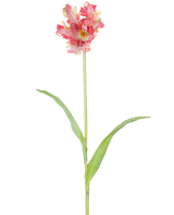 Een Kunstbloem Franse Parkiet Tulp 76 cm in rood/geel met ruches op de bloemblaadjes, een lange groene steel en twee langwerpige groene bladeren, tegen een witte achtergrond.