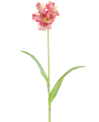 Fleur artificielle Perruche française Tulipe 76 cm rouge/jaune