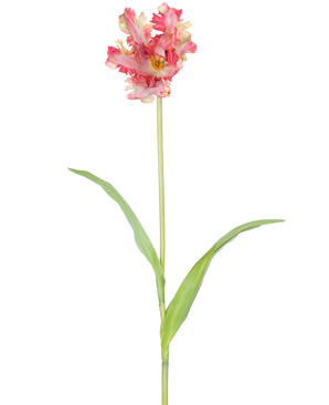 Een Kunstbloem Franse Parkiet Tulp 76 cm in rood/geel met ruches op de bloemblaadjes, een lange groene steel en twee langwerpige groene bladeren, tegen een witte achtergrond.