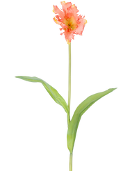 Fleur artificielle Perruche française Tulipe 76 cm corail