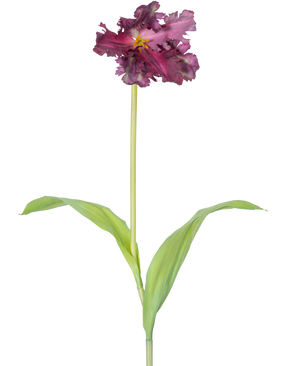 La Fleur Artificielle Tulipe Perruche Française 76 cm violette est une tulipe violette artificielle simple avec des volants dans les pétales et deux feuilles vertes allongées sur une longue tige, sur un fond blanc uni.