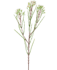 Branche artificielle Waxflower crème 78 cm