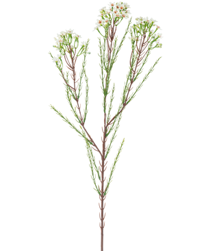La Branche Artificielle Waxflower 78 cm crème a une seule tige haute avec de fines feuilles vertes et des bouquets de petites fleurs blanc crème au sommet, sur un fond uni et clair.