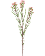La Branche Artificielle Waxflower 78 cm rose a une seule tige avec de fines feuilles vertes et plusieurs bouquets de petites fleurs rose clair au sommet, sur un fond blanc.