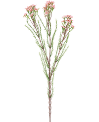Branche artificielle Waxflower rose 78 cm