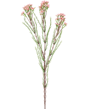 La Branche Artificielle Waxflower 78 cm rose a une seule tige avec de fines feuilles vertes et plusieurs bouquets de petites fleurs rose clair au sommet, sur un fond blanc.
