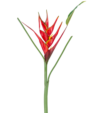 La fleur artificielle Heliconia 90 cm rouge présente une seule fleur artificielle Heliconia avec des bractées rouges et jaunes vibrantes sur une longue tige verte, complétée par des feuilles minces, parfaites pour être exposées sur un fond blanc.