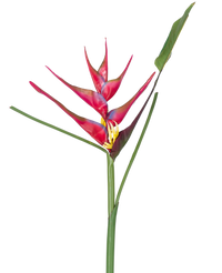 Fleur artificielle Heliconia 90 cm fuchsia