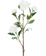La Fleur Artificielle Camélia 80 cm blanche possède une seule tige brune avec de multiples feuilles vertes et plusieurs fleurs de camélia blanches, certaines en fleurs et d'autres en forme de bouton, le tout sur un fond blanc uni.