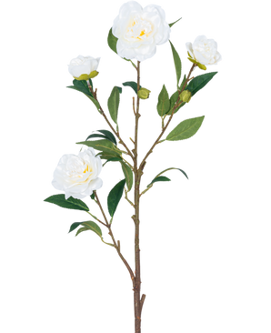 La Fleur Artificielle Camélia 80 cm blanche possède une seule tige brune avec de multiples feuilles vertes et plusieurs fleurs de camélia blanches, certaines en fleurs et d'autres en forme de bouton, le tout sur un fond blanc uni.