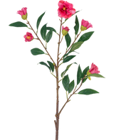 La Fleur Artificielle Camélia 80 cm rose est une tige unique avec de multiples branches, des feuilles vertes et plusieurs fleurs et bourgeons rose vif, isolées sur fond blanc.
