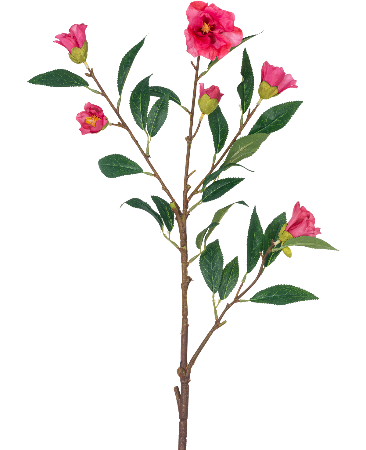 La Fleur Artificielle Camélia 80 cm rose est une tige unique avec de multiples branches, des feuilles vertes et plusieurs fleurs et bourgeons rose vif, isolées sur fond blanc.