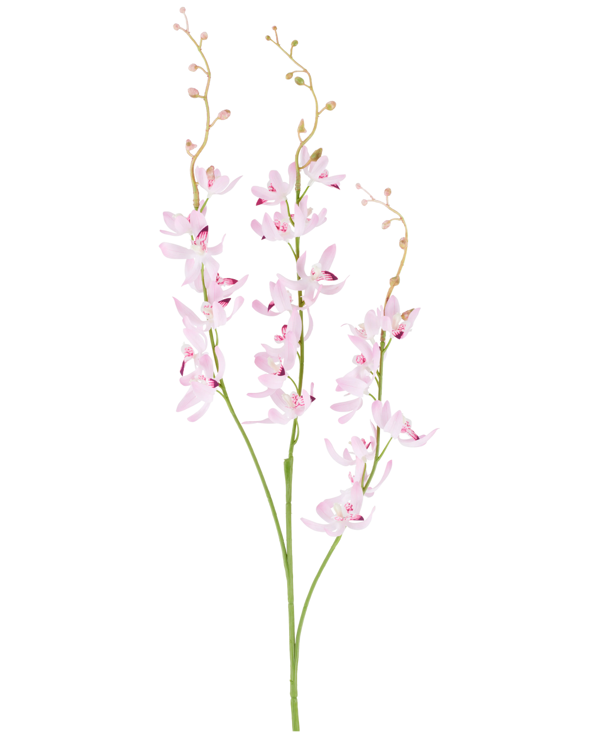 Deux tiges vertes avec des grappes ramifiées de délicates fleurs d'orchidées cymbidium violet clair et de petits bourgeons sur de fines branches arquées, photographiées sur un fond blanc uni. Le produit représenté est la fleur artificielle Cymbidium 95 cm violette.