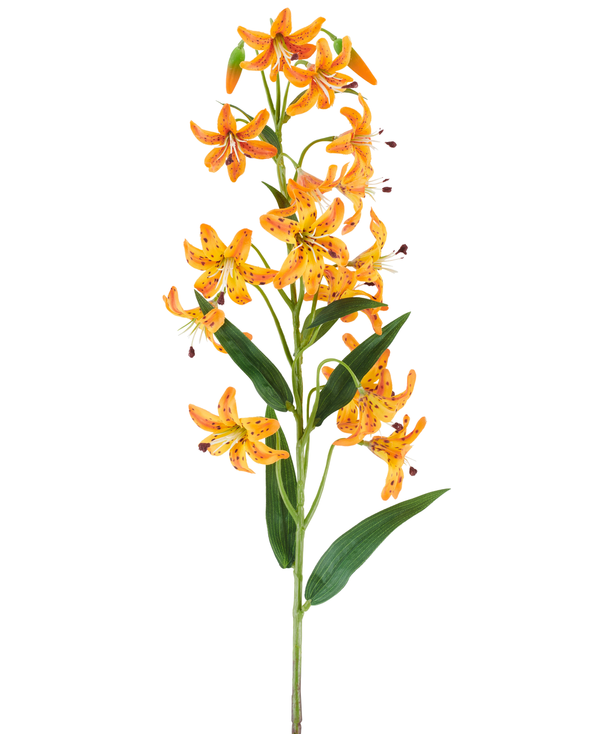 Une seule tige de fleur artificielle Magnolia, de 65 cm de long, dans des tons crème et marron avec un feuillage luxuriant, représentée sur un fond blanc.