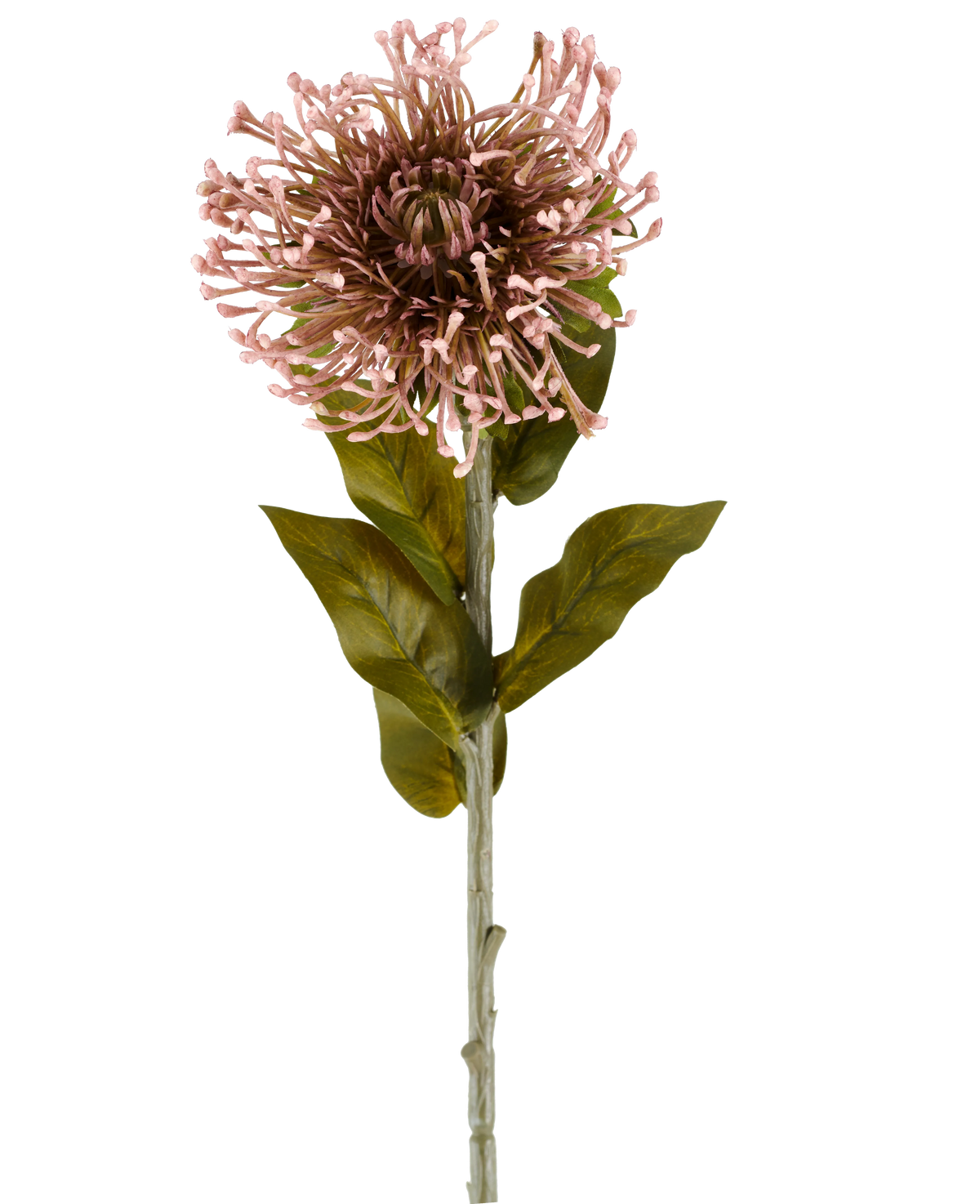 La Fleur Artificielle Protea 65 cm mauve est une fleur artificielle unique en forme de protéa, avec une grappe ronde de pétales mauves et pointus, des feuilles vertes et une longue tige, représentée sur un fond blanc uni.