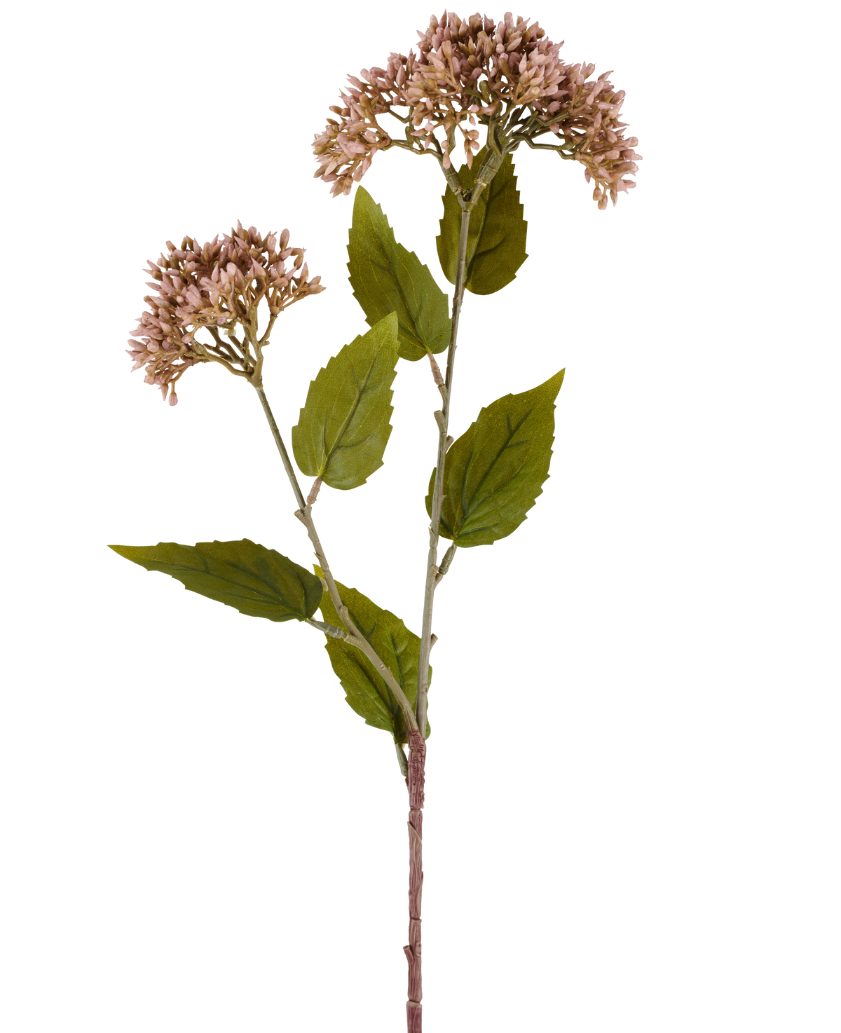 Une seule tige de fleur artificielle Sedum 67 cm mauve présente deux bouquets de petites fleurs mauve clair et de nombreuses feuilles vertes sur fond blanc.