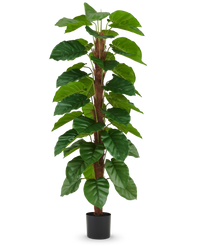 Plante artificielle Epipremnum aureum 180 cm