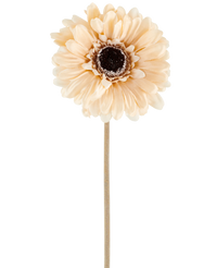 Fleur artificielle Gerbera 53 cm crème/brun