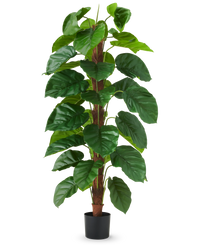 Plante artificielle Epipremnum aureum 150 cm