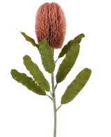 Une seule tige de la fleur artificielle Banksia 65 cm vieux rose présente une grande fleur cylindrique rose et de longues feuilles vertes dentelées qui se détachent sur un fond blanc.