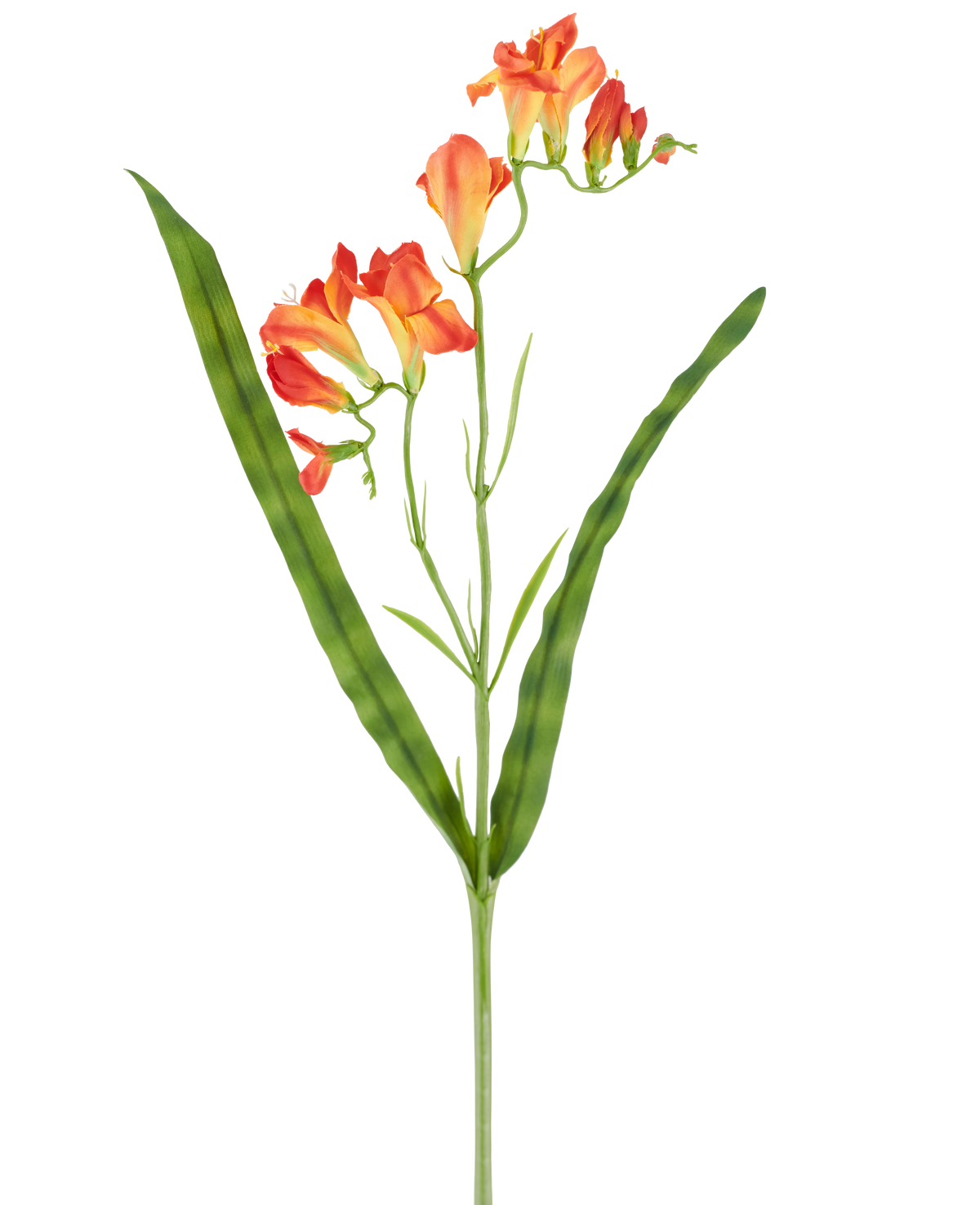 Une seule tige de fleur artificielle Freesia de 56 cm orange, avec de longues feuilles vertes étroites et de multiples fleurs de freesia orange en fleur au sommet, représentée sur un fond blanc.