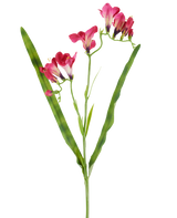 Une fleur artificielle : un freesia fuchsia de 56 cm, avec des fleurs fuchsia vibrantes et deux longues feuilles vertes fines, représentées sur un fond blanc.