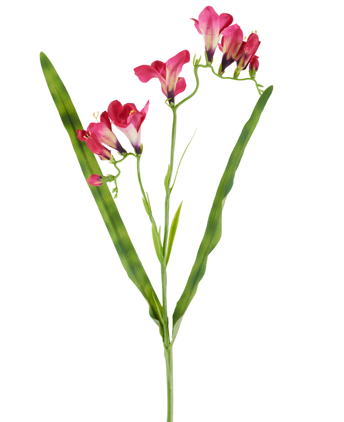 Une fleur artificielle : un freesia fuchsia de 56 cm, avec des fleurs fuchsia vibrantes et deux longues feuilles vertes fines, représentées sur un fond blanc.