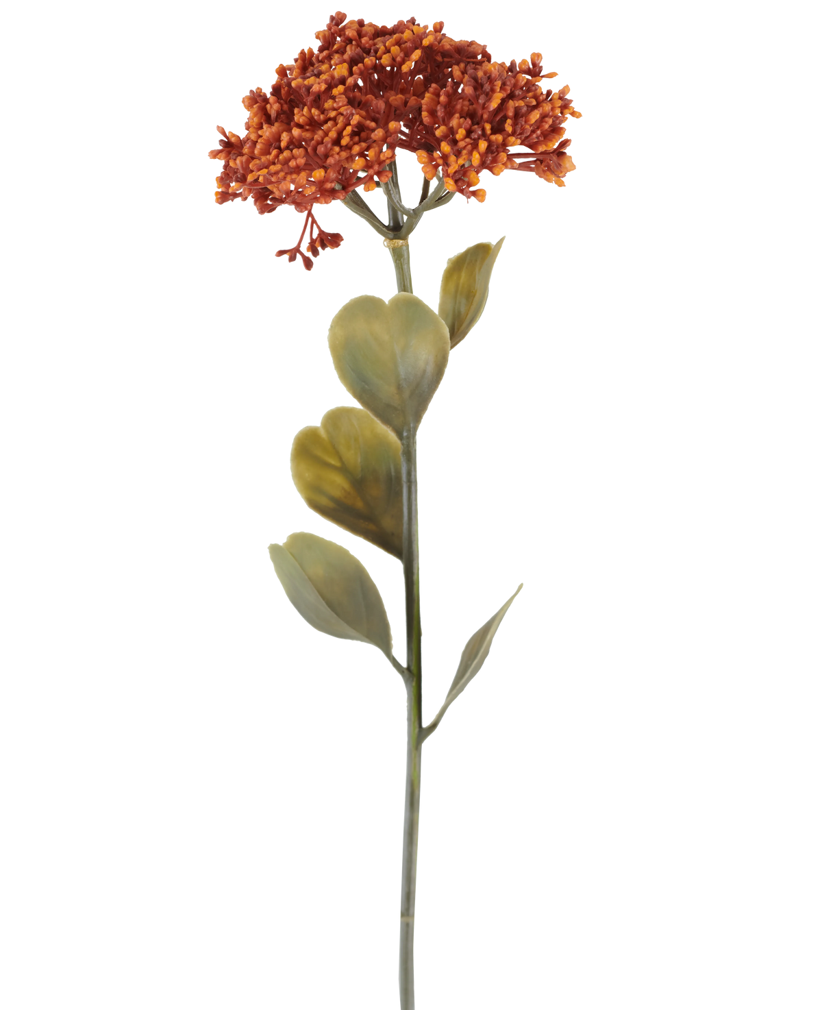Une seule fleur de Sedum artificielle de 46 cm de couleur orange patiné, avec des grappes de petites fleurs rouge-orange et quelques feuilles vertes, représentées sur un fond blanc.
