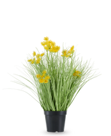 L'herbe d'oignon à fleurs de racine de gazon artificiel est logée dans un pot en plastique noir, avec de longues feuilles fines ressemblant à de l'herbe et des bouquets de petites fleurs jaune vif aux extrémités. La plante artificielle mesure 50 cm de haut, est ignifuge et se dresse sur un fond blanc uni.